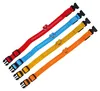 Ag232C Obroża Świecąca Led 34-42Cm Orang Podgląd zdjęcia produktu 3