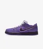 Concepts x Nike SB Dunk Low Pro OG "Purple Lobster", Podgląd zdjęcia produktu 5
