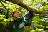A man is using a cordless chainsaw to cut a tree branch in a garden setting. Produktbild-Vorschau