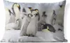 MuchoWow® Outdoor Kissen - Pinguine - Schnee - Tiere - Produktbild-Vorschau 1
