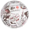 FC St. Pauli - St. Pauli -  Ball  bunt, Größe 5 Produktbild-Vorschau 3
