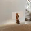 A Bengal cat is standing on its hind legs and scratching a beige mat attached to a wall. Produktbild-Vorschau