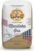 A bag of Caputo Manitoba Oro flour. Náhľad obrázku produktu