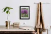 Bild 20x30 MDF-Rahmen, Wandkunst Knoblauch Blumen Produktbild-Vorschau 3