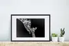 MuchoWow® Gerahmtes Poster Porträt - Giraffe - Tiere - Produktbild-Vorschau 4