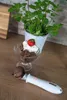 Eine Glasschale mit Schokoladeneis, Schlagsahne und einer Erdbeere steht auf einer Holzfläche. Daneb Anteprima dell’immagine prodotto