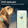 A golden retriever dog wearing a GPS tracker, with a smartphone displaying a map and tracking information overlaid. Anteprima dell’immagine prodotto