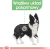 Royal Canin Medium Digestive Care, Dorosły, Średnie (11 - Podgląd zdjęcia produktu 6