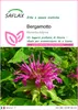 SAFLAX  - Bergamotto - 20 semi - Monarda Anteprima dell’immagine prodotto 1