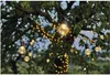 Chaîne lumineuse EMOS LED - 10x ampoules transparentes, 5 Voir les images du produit 13