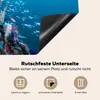 KitchenYeah© Herdabdeckplatte Korallenriff in einem Produktbild-Vorschau 5