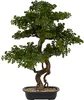 Künstlicher Bonsai-Baum POLIN, schwarze Keramikschale, 72 x Produktbild-Vorschau 1