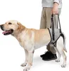 Imbragatura per cani di grossa taglia, zampa posteriore, Anteprima dell’immagine prodotto 5
