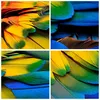 Bilder auf glas - Feder Papagei Vogel - 30x30cm - Produktbild-Vorschau 8