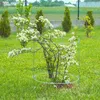 KADAX Supporto per fiori e piante, 90 cm, anello da Anteprima dell’immagine prodotto 2