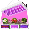 Lampe LED pour plantes 100 W, spectre complet, 3 modes, Voir les images du produit 1