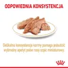 Royal Canin Pomeranian Adult 24x85g Nassfutter, Pastete für Produktbild-Vorschau 4