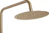 rea Duschgarnitur Gold Thermostat Brush Lungo Höhe 1.17m Produktbild-Vorschau 6