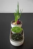 Sprossenschale & Pflanzschale ReGrow | Keimschalen von Produktbild-Vorschau 28