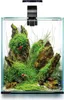 A small, well-decorated aquarium with plants and shrimp, lit by an overhead lamp. Anteprima dell’immagine prodotto