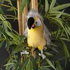 SIGIKID sigikid 42980 Coco Coocoo, Kikeriki Produktbild-Vorschau 5