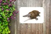 MuchoWow® Produktbild-Vorschau 4
