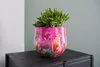 Collezione TS - Blumentopf Fiesta fucsia - 24x21 Anteprima dell’immagine prodotto 6