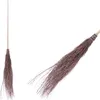 Two views of a broomstick with a natural bristle head, presented against a white background. Anteprima dell’immagine prodotto