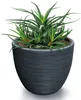 A dark gray textured planter pot filled with a succulent plant. Podgląd zdjęcia produktu