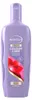 Andrelon Shampoo – Color Sulfatfrei 300 ml Produktbild-Vorschau 1