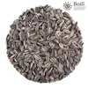A pile of sunflower seeds. Anteprima dell’immagine prodotto