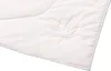 Kauffmann Hanf Leicht Steppbett Sommerdecke Monodecke Produktbild-Vorschau 2