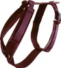 Kentucky Dogwear Hundegeschirr Aktiv Velvet, Größe:M, Produktbild-Vorschau 1