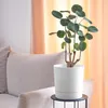 A potted plant sits on a small black stand next to a light-colored sofa, with soft peach curtains in the background. Produktbild-Vorschau