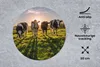 MuchoWow® Mauspad Mousepad Kühe - Sonne - Gras - Tiere - Produktbild-Vorschau 2