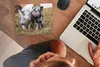 MuchoWow® Mauspad Mousepad Schwein - Tiere - Ferkel 23x19 Produktbild-Vorschau 3