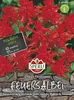 SPERLI Feuersalbei Samen Carabiniere Salvia splendens 60 Produktbild-Vorschau 3
