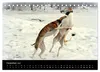 Whippets in Aktion (Tischkalender 2027 DIN A5 quer), Produktbild-Vorschau 14