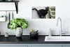MuchoWow® Poster Katze - Schwarz - Palette - Mädchen - Produktbild-Vorschau 3