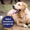 Canosept Fellpflegespray für Hunde 250 ml Produktbild-Vorschau 4
