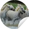 MuchoWow® Gartenposter Outdoor-Poster Rund Pferde - Wasser Produktbild-Vorschau 1
