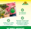 Neudorff Azet Zitrus und MediterranpflanzenDünger - 750g Produktbild-Vorschau 5