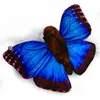 Schmetterling Kuscheltier Falter Blauer Morphofalter Insekt Produktbild-Vorschau 6