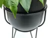 A close-up view of a black metal plant stand holding a black pot with green leaves visible. Náhled obrázku produktu