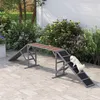 PawHut Hunde Agility Steg Agility-Ausrüstung für Hunde mit Produktbild-Vorschau 2