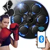 Verk 14590: Bersaglio da parete elettronico per boxe, con Anteprima dell’immagine prodotto 6