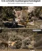 4K Wildtierkamera mit Bewegungsmelder Nachtsicht,120° Produktbild-Vorschau 6