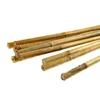 Euro nářadí 145442 Tyč bamboo průměr 1 - 15 cm délka 70 cm Anteprima dell’immagine prodotto 1