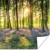 MuchoWow® Poster Frühling - Wald - Sonne 100x100 cm - Produktbild-Vorschau 1