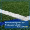 Kiepenkerl Blumensamen Dachbegrünung und Trockenrasen 2 - 4 Produktbild-Vorschau 3